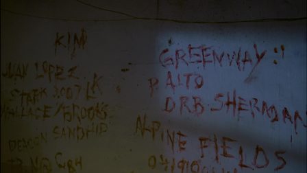 bloody wall