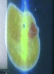 John Henry's duckling