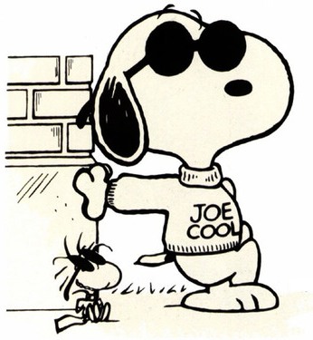 Joe Cool
